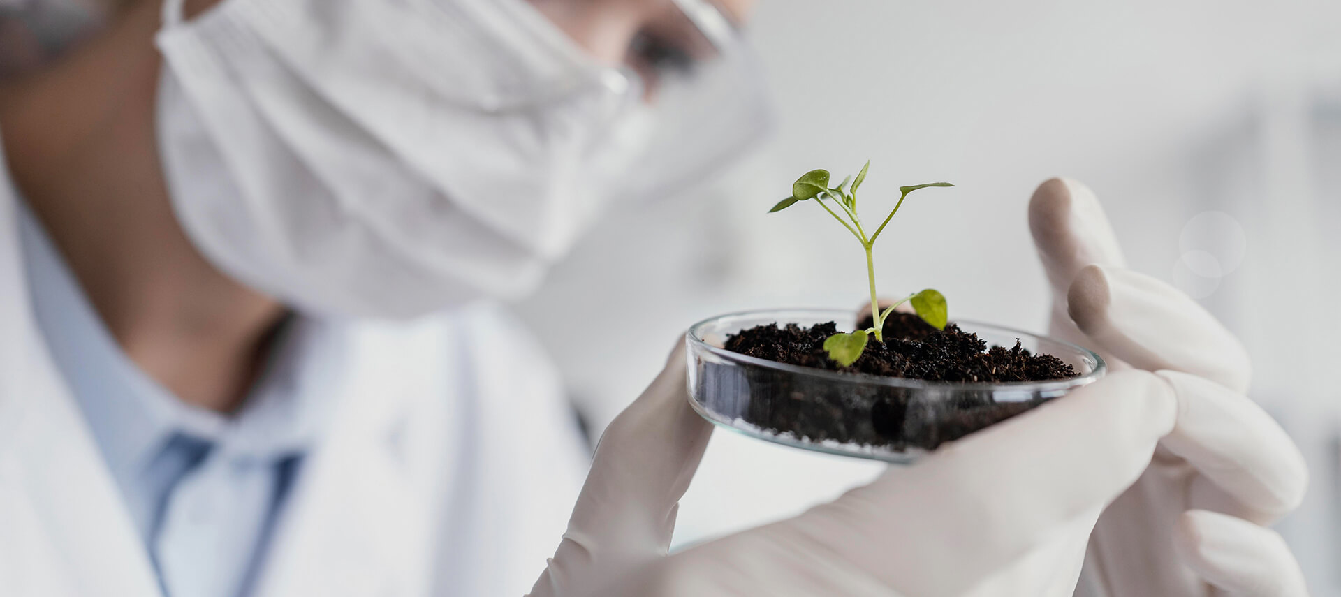 Natural Plant Extract Supplier