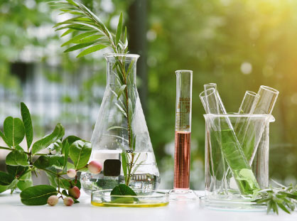 Plant Extracts