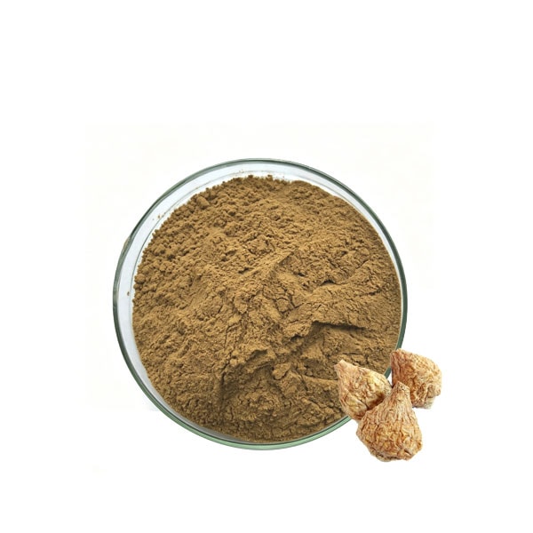 Maca Root Extract Powder