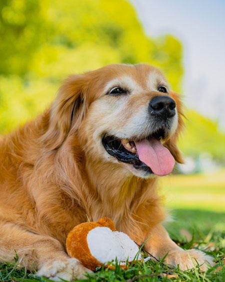 aaaaa